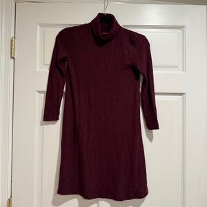 American Eagle Outfitters Burgundy Turtleneck Knit Dress